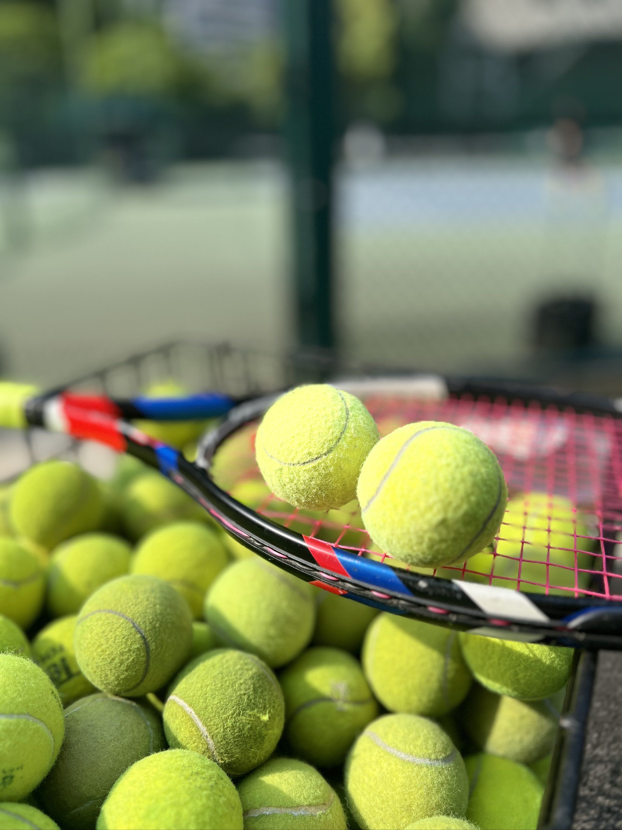 是大比分碾 是大比分碾