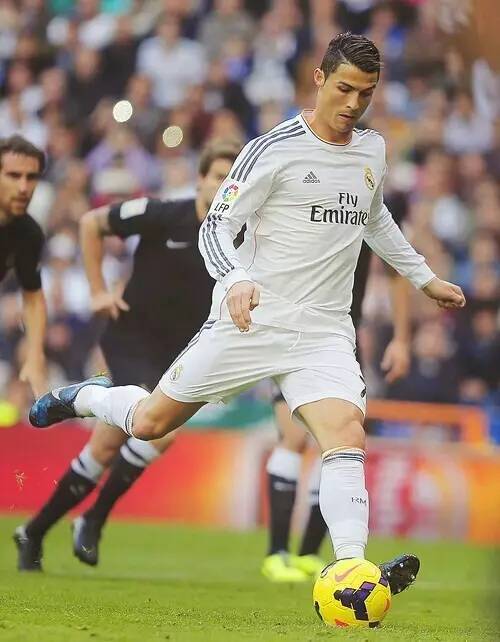 的战术安排 的战术安排